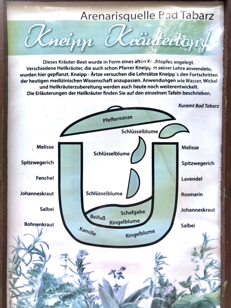 Kneipp Kräutertopf Arenarisquelle Bad Tabarz