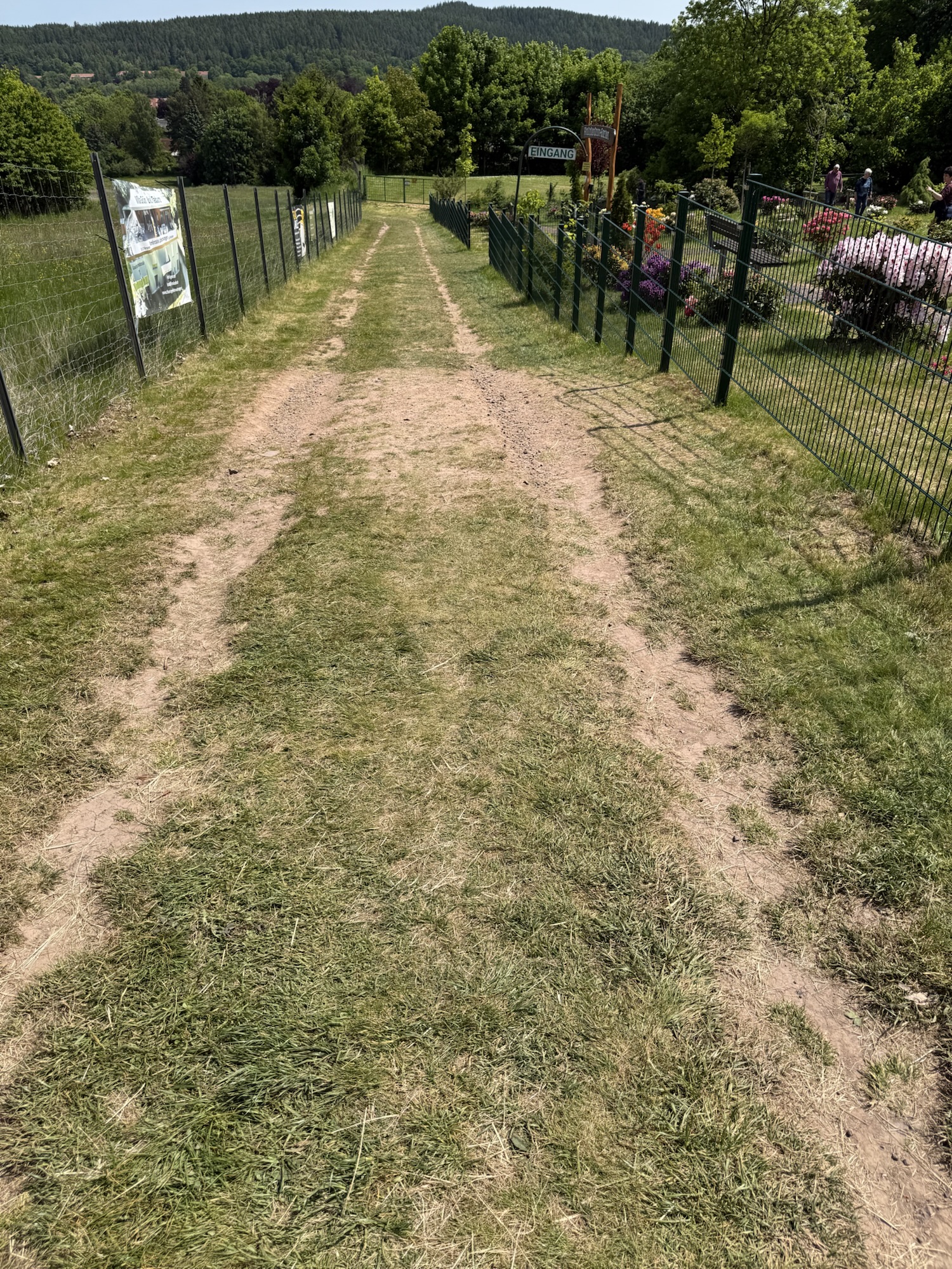 Rhododendrongarten Bad Tabarz Beschaffenheit Zugangsweg vorm Eingang