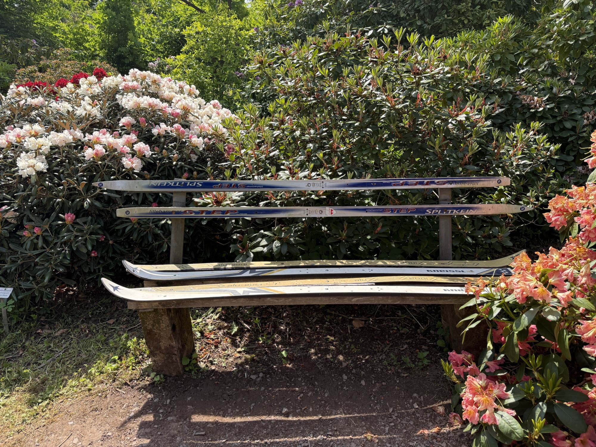 Rhododendrongarten Bad Tabarz Bank aus Skis gefertigt